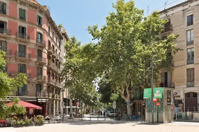 a street in a city with a tree and buildings at Enjoy Apartments Maria II in Barcelona