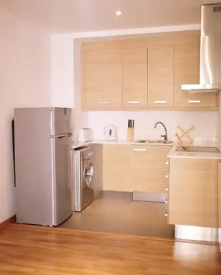 a kitchen with a stainless steel refrigerator and a dishwasher at MH Apartments Liceo in Barcelona