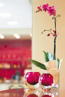 a vase with a flower in it and two red balls at Hesperia Fira in Hospitalet de Llobregat