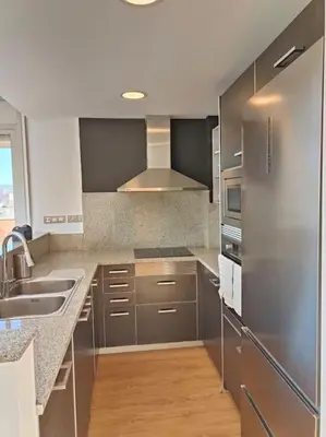 a kitchen with stainless steel appliances and a sink at Large terrace luxury apartment in Sant Adria de Besos