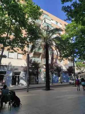 a palm tree in front of a building at NEW! Amazing 2 bedroom apartment in Rambla del Poblenou in Barcelona