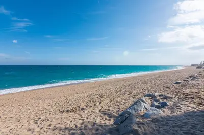 a beach with a rock in the sand and the ocean at HomeHolidaysRentals Liberty - Costa Barcelona in Pineda de Mar