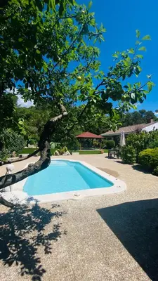 a swimming pool with a tree next to it at Villa Òdena in Odena