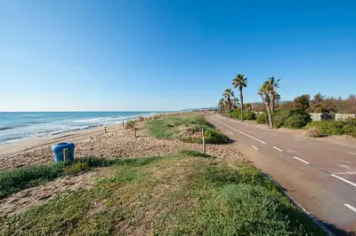 an empty beach with palm trees and a road at Casa Natura Gava Beach in Gavà