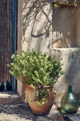 two potted plants sitting in front of a building at Sitges Hill Retreats-Masia Nur 22 bedrooms divided over 9 houses for max 44 guests in Canyelles