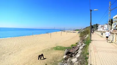 a dog walking on the beach with a man walking a dog at EMILY BEACH-CITY Apartment in Montgat