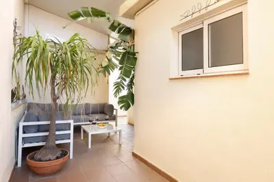 a room with a potted plant and a window at Barcelona Sunny Terrace in Hospitalet de Llobregat