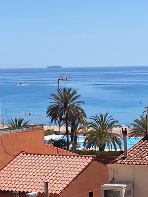 a view of a beach with palm trees and the ocean at Marina Vila House, Masnou in Masnou