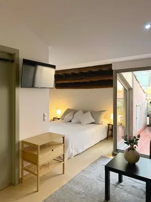 a bedroom with a bed and a tv on the wall at SF Apartamento céntrico con terraza in Terrassa