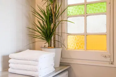 a stack of towels in a bathroom with a plant at Bed&BCN Diagonal 5 in Barcelona