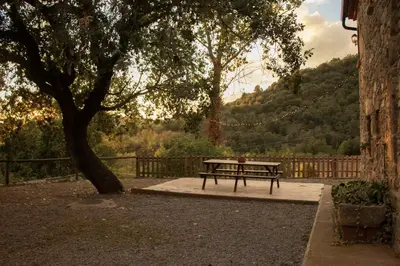 a picnic table under a tree next to a fence at Mas Cal Gira in Moià