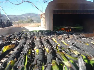 a fire pit in front of a building at La Casa Vella EL BEDORC in Piera