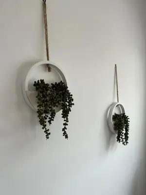 two potted plants hanging on a white wall at Vilamarlux VII in Vilassar de Mar